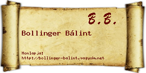 Bollinger Bálint névjegykártya